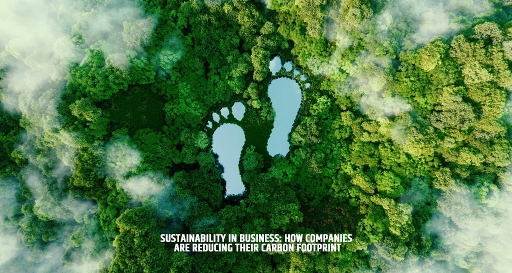 Sustainability in Business: How Companies Are Reducing Their Carbon Footprint