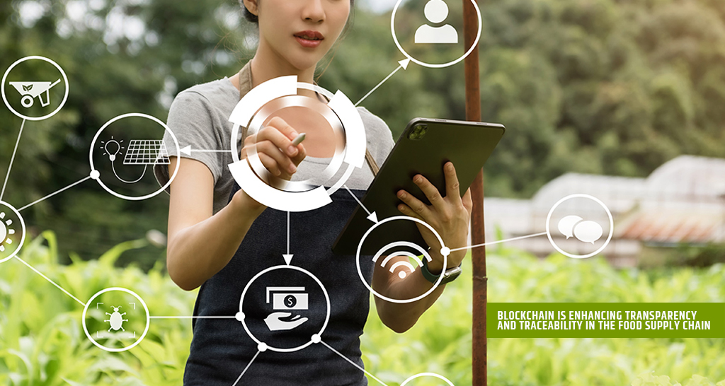 How Blockchain is Enhancing Transparency and Traceability in the Food Supply Chain