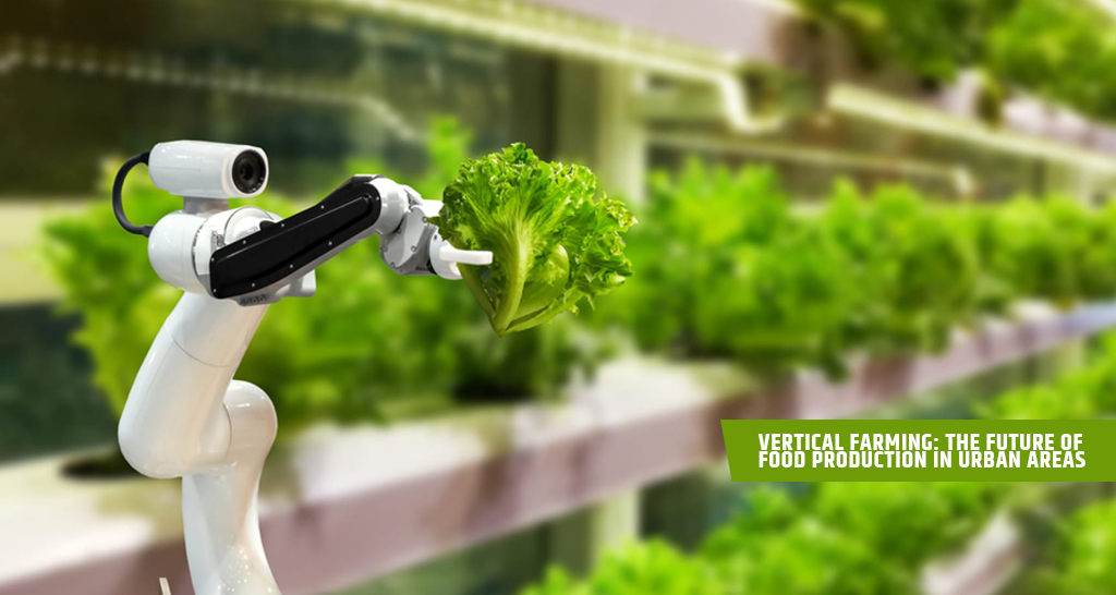 Vertical Farming: The Future of Food Production in Urban Areas